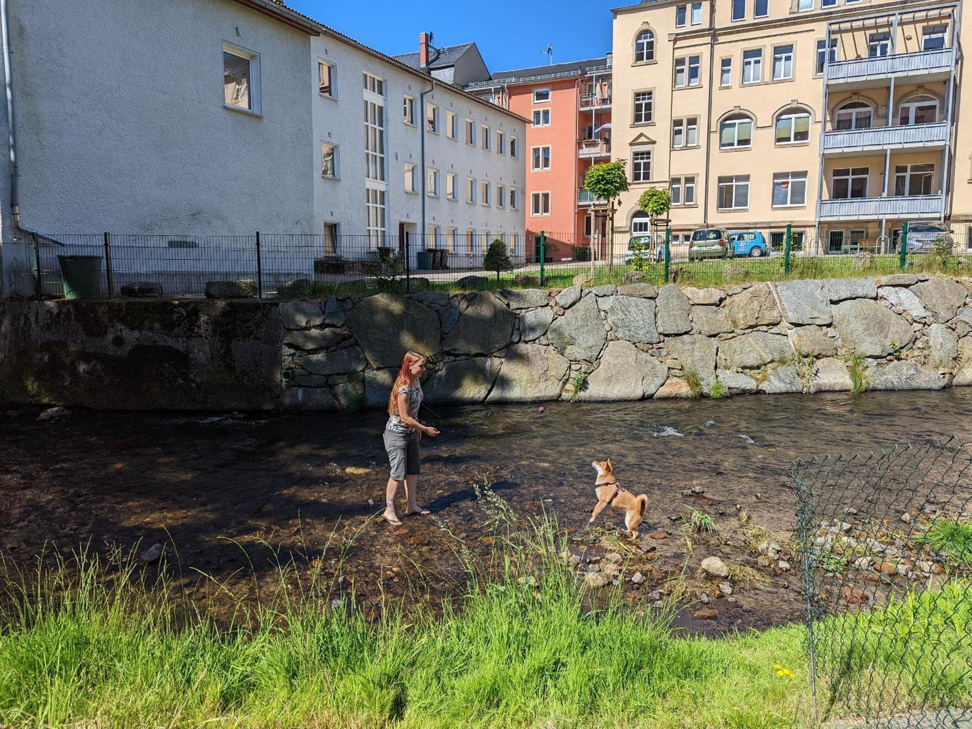 Uo3 - Urlaubsmagie- Urlaubsoase Mitten In Sebnitz Zewnętrze zdjęcie